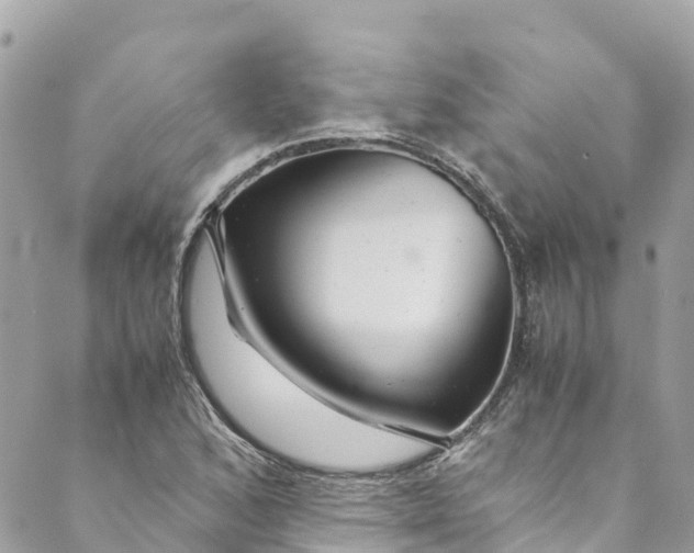 X0000088911168200706291522