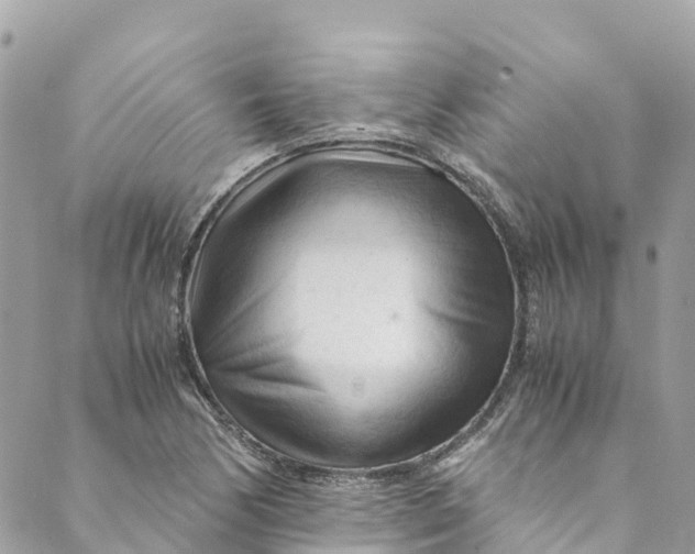 X0000088911170200706291522