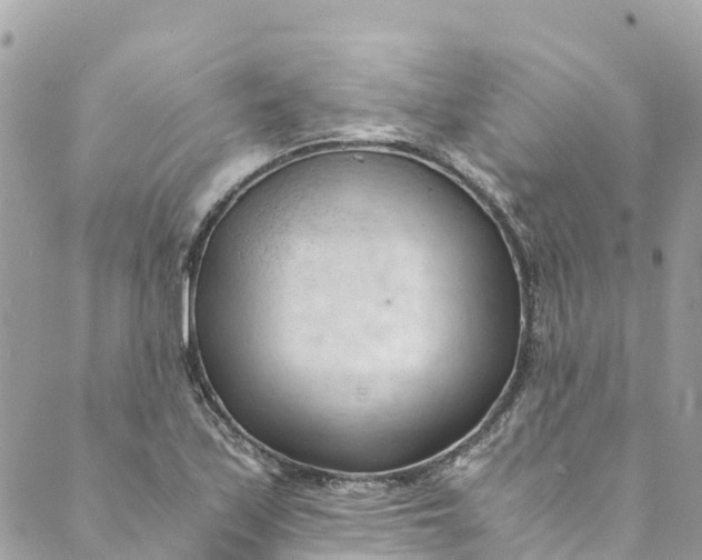 X0000088911171200706291522