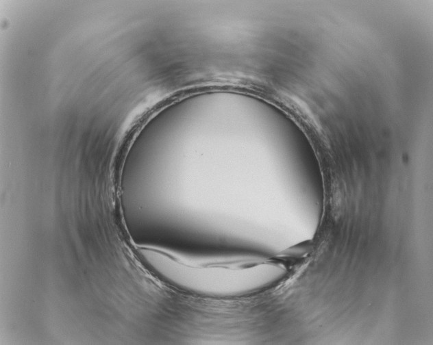 X0000088911172200706291522