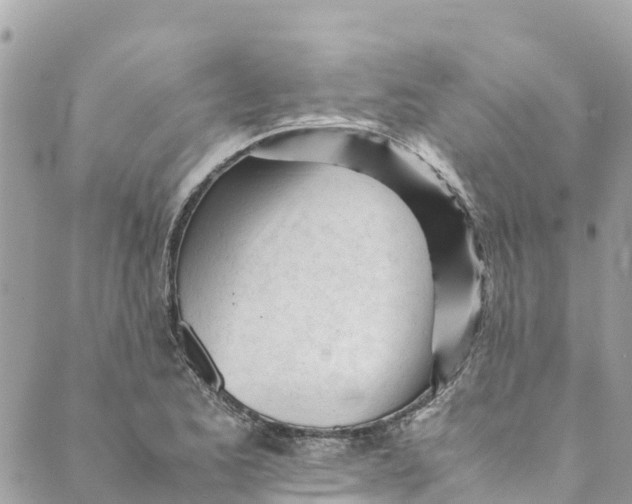 X0000088911173200706291522