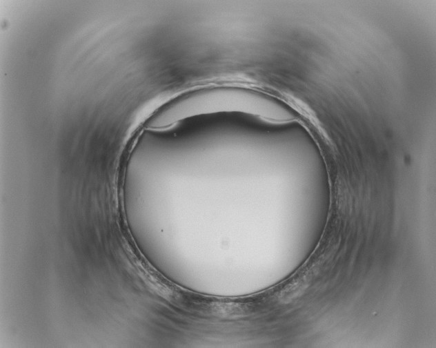 X0000088911176200706291522