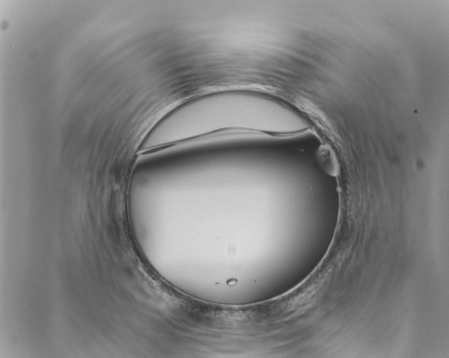 X0000088911177200706291522