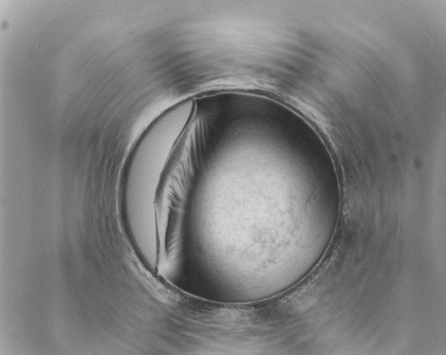 X0000088911179200706291522