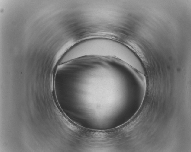 X0000088911180200706291522