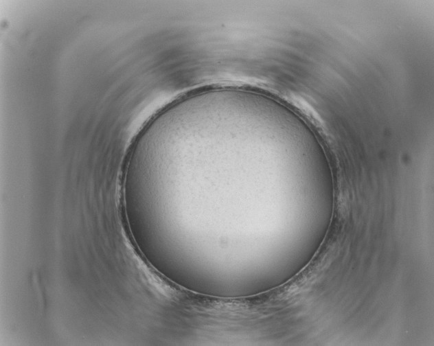 X0000088911183200706291522