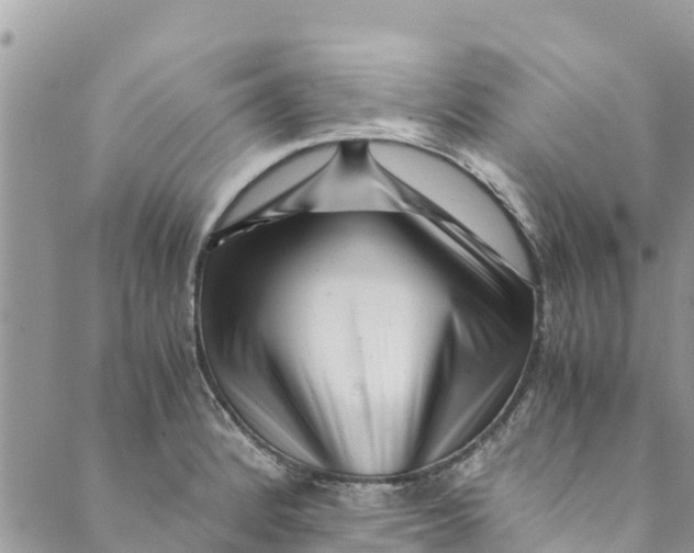 X0000088911184200706291522