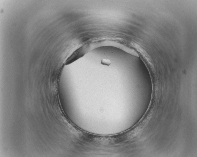 X0000088911185200706291522