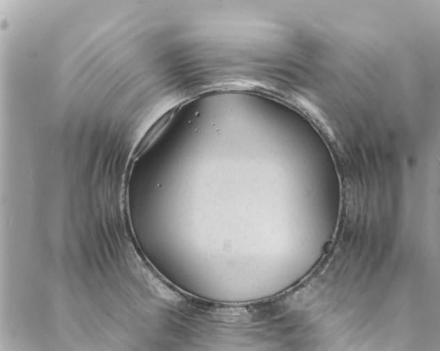 X0000088911186200706291522