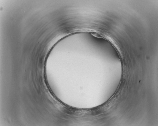 X0000088911187200706291522