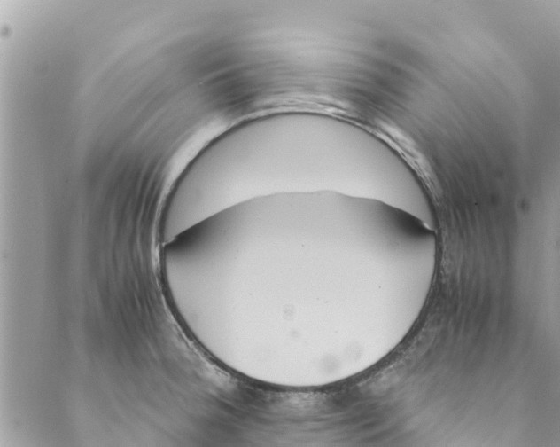 X0000088911188200706291522