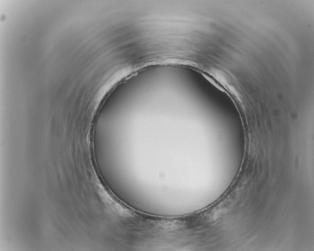 X0000088911189200706291522