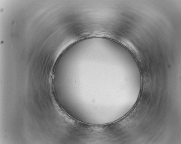 X0000088911190200706291522