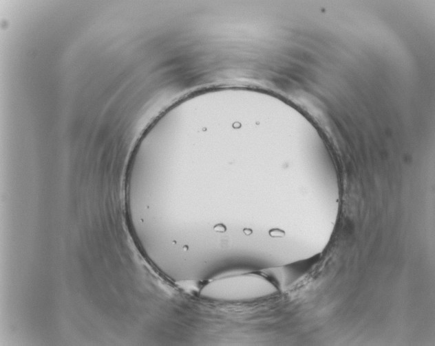 X0000088911191200706291522