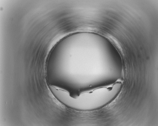 X0000088911192200706291522