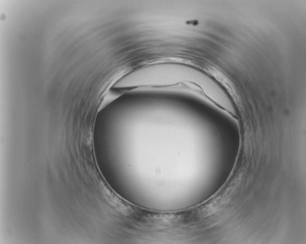 X0000088911193200706291522