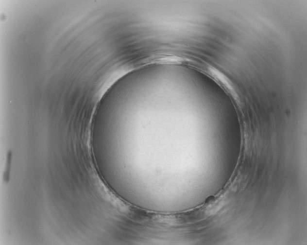 X0000088911194200706291522