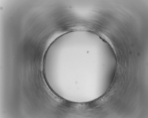 X0000088911195200706291522