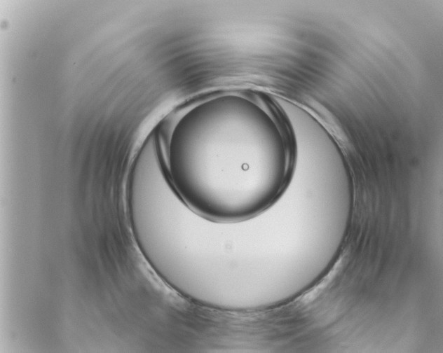 X0000088911196200706291522