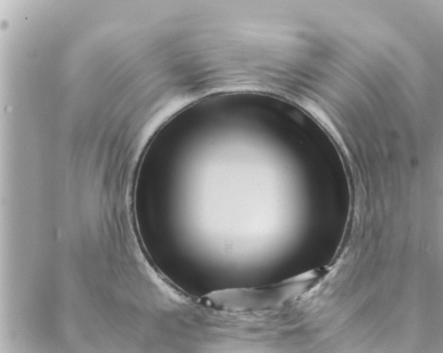 X0000088911197200706291522