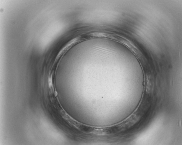 X0000088911198200706291521