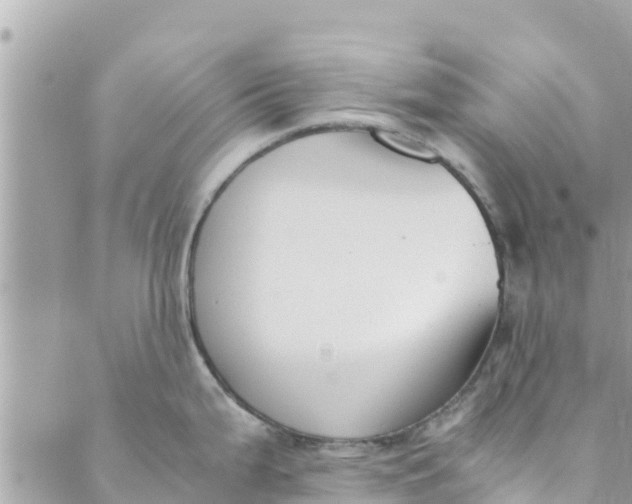 X0000088911199200706291521