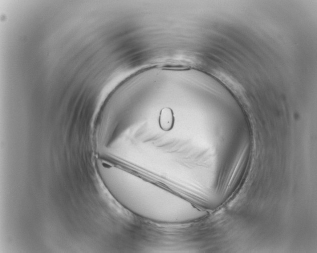 X0000088911200200706291521