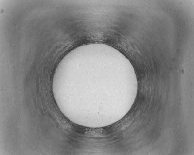 X0000088911201200706291521