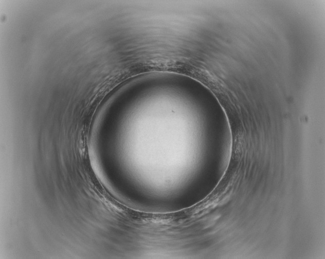 X0000088911202200706291521