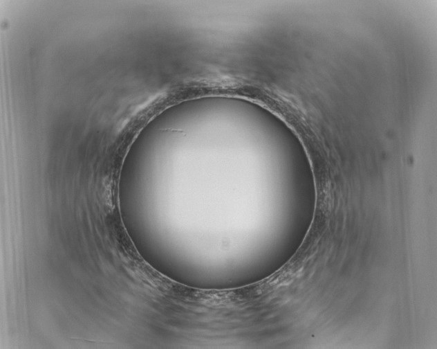 X0000088911205200706291521