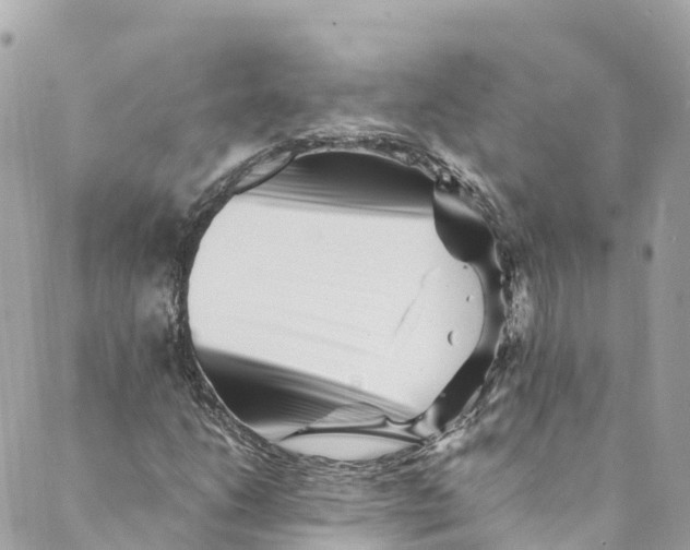 X0000088911206200706291521