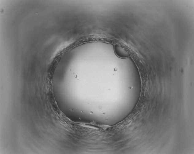 X0000088911207200706291521