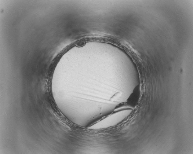 X0000088911208200706291521