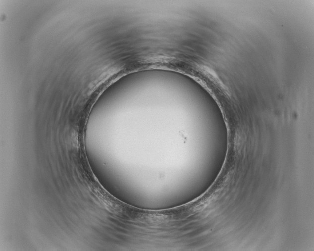 X0000088911209200706291521