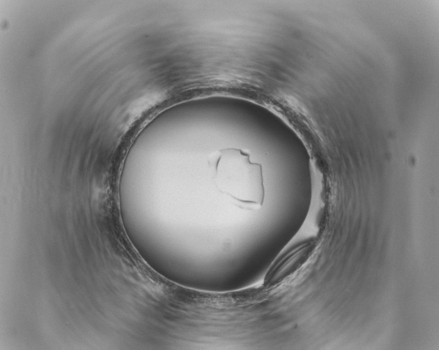 X0000088911210200706291521