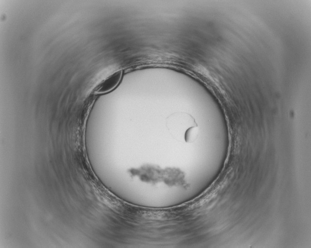 X0000088911211200706291521