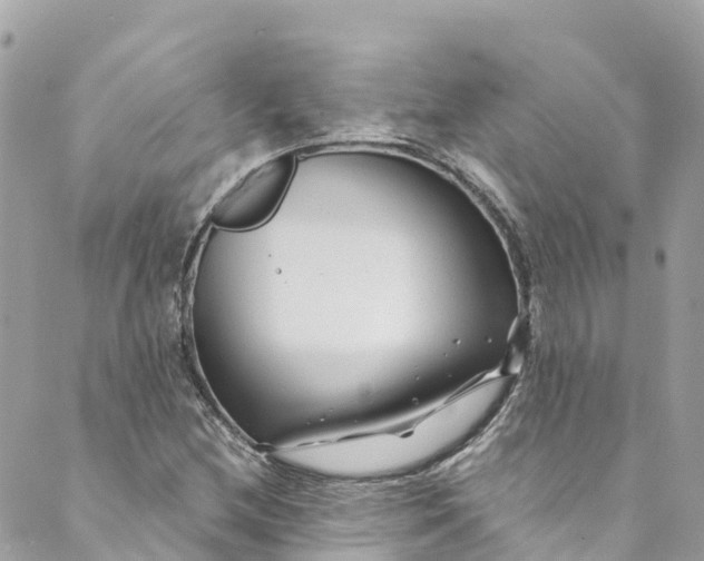 X0000088911212200706291521