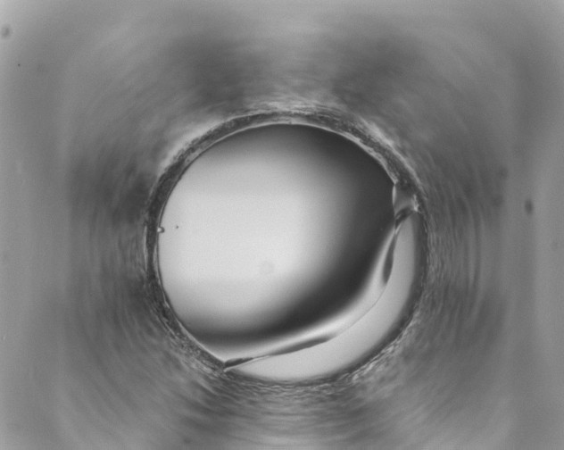 X0000088911214200706291521