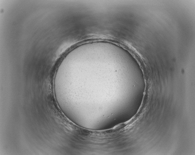 X0000088911215200706291521