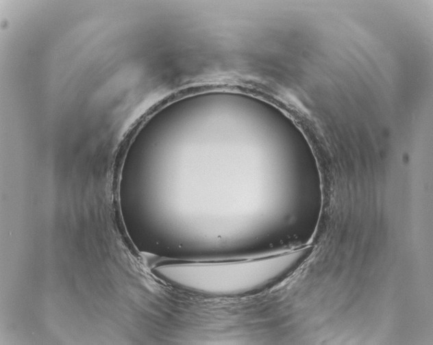 X0000088911216200706291521