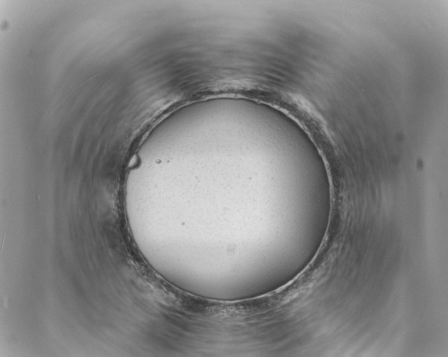 X0000088911217200706291521