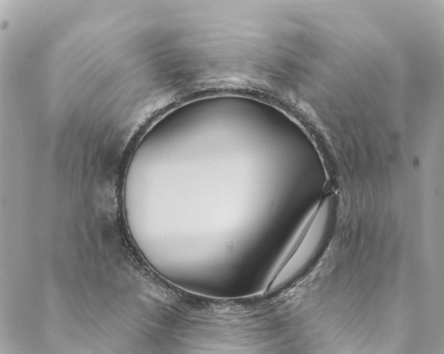 X0000088911218200706291521