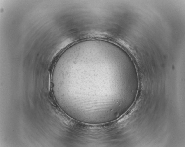 X0000088911219200706291521