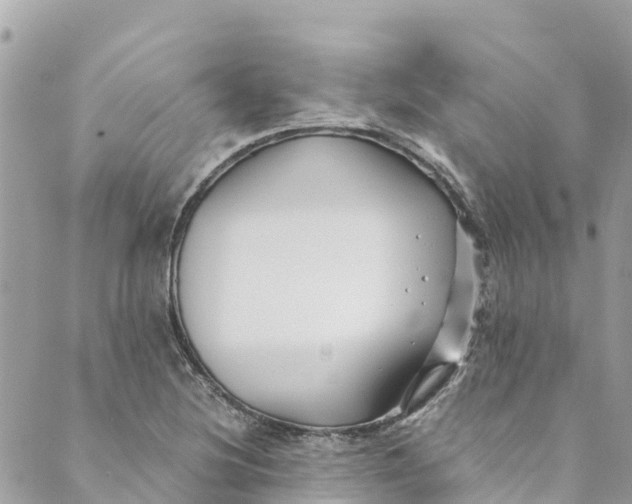 X0000088911220200706291521