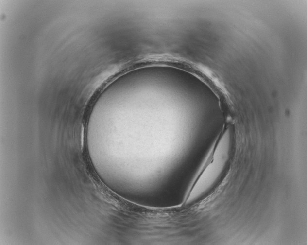 X0000088911221200706291521