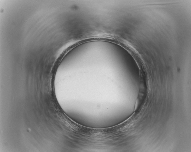 X0000088911222200706291521