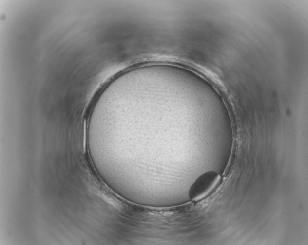 X0000088911223200706291521