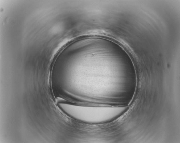 X0000088911224200706291521