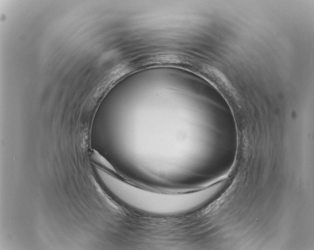 X0000088911225200706291521