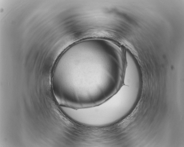 X0000088911226200706291521